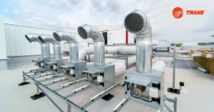Read more about the article Portable Cold Storage: Enabling Flexibility in Global Supply Chains